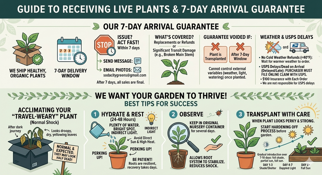 Guide to Receiving Plants After Shipping