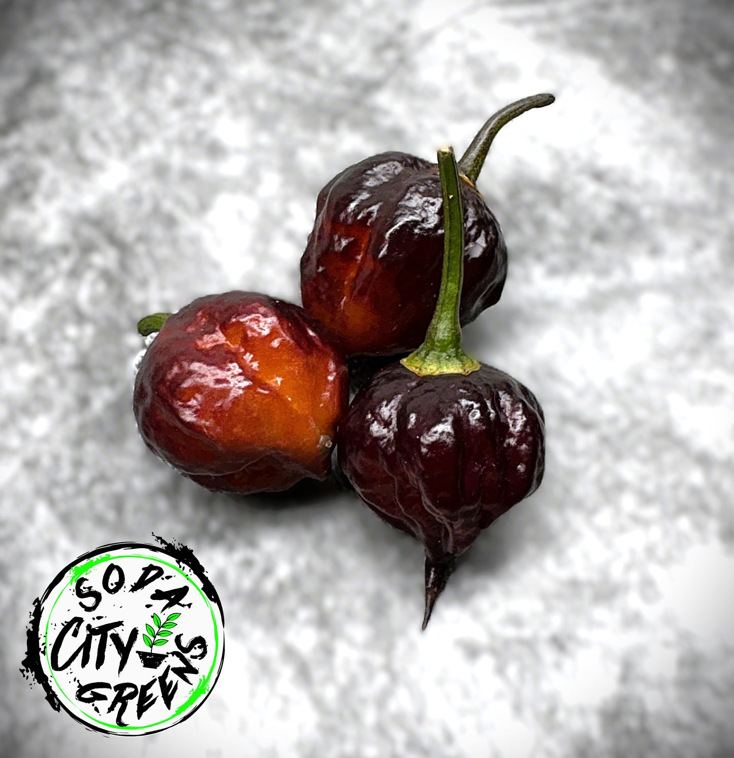 Bubblegum Purple 7 Pot BBG Pepper Seeds