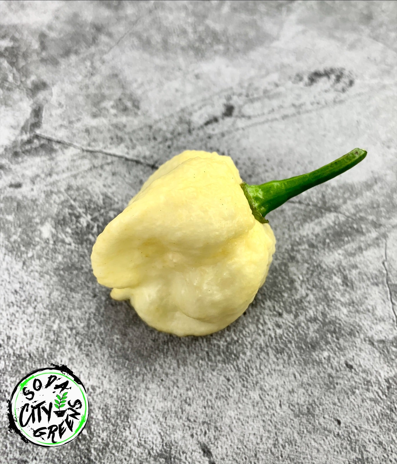 7 Pot White Pepper Seeds