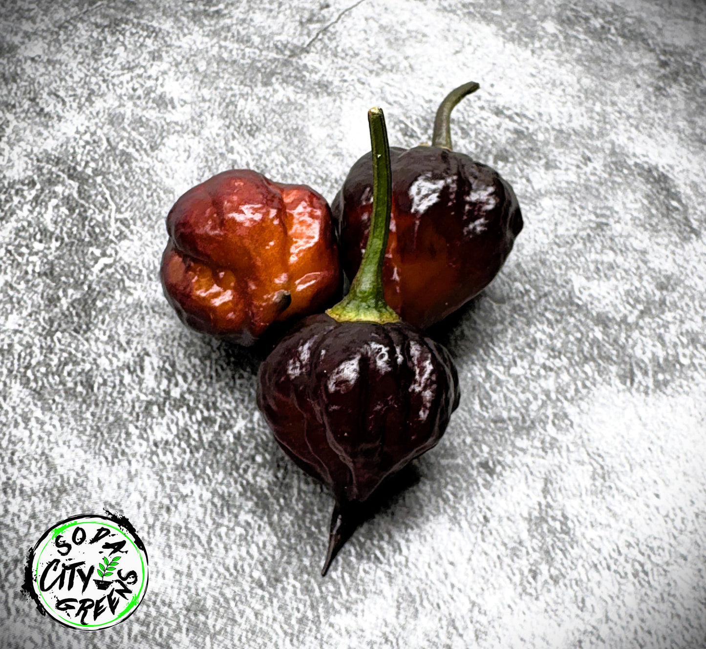 Purple Pepper Seed Variety Pack (You choose!)