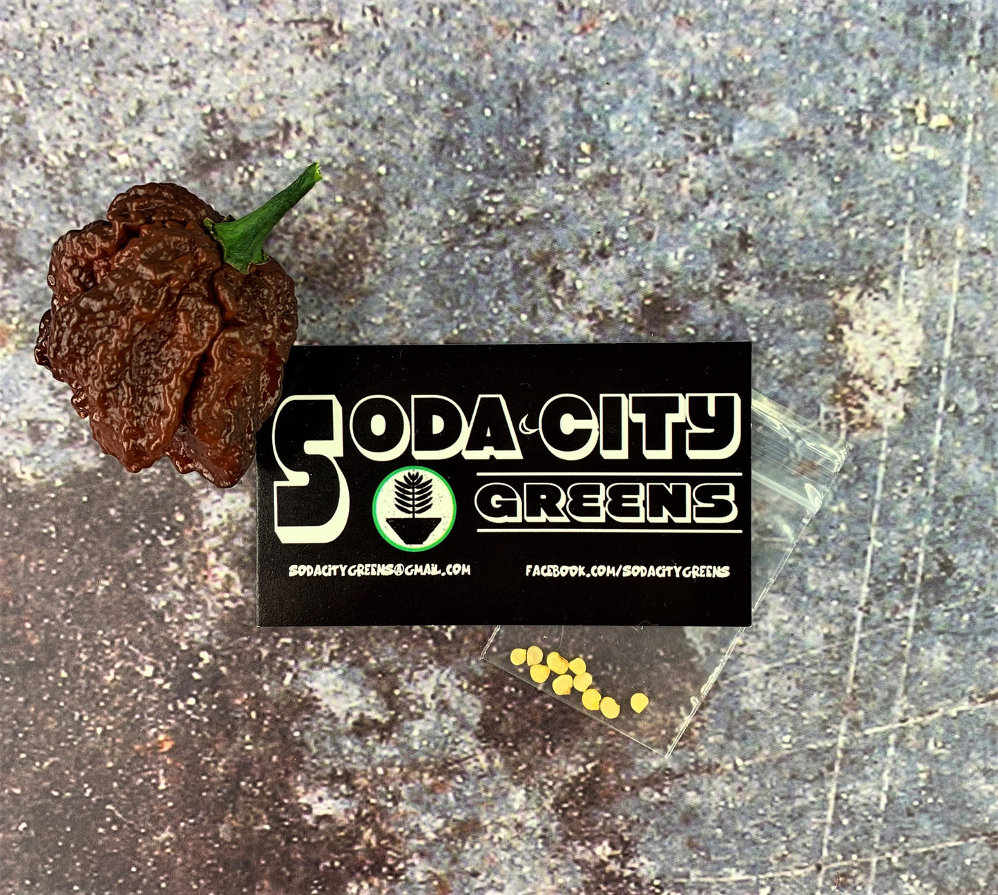 Chocolate Pepper Seed Variety Pack (You choose!)