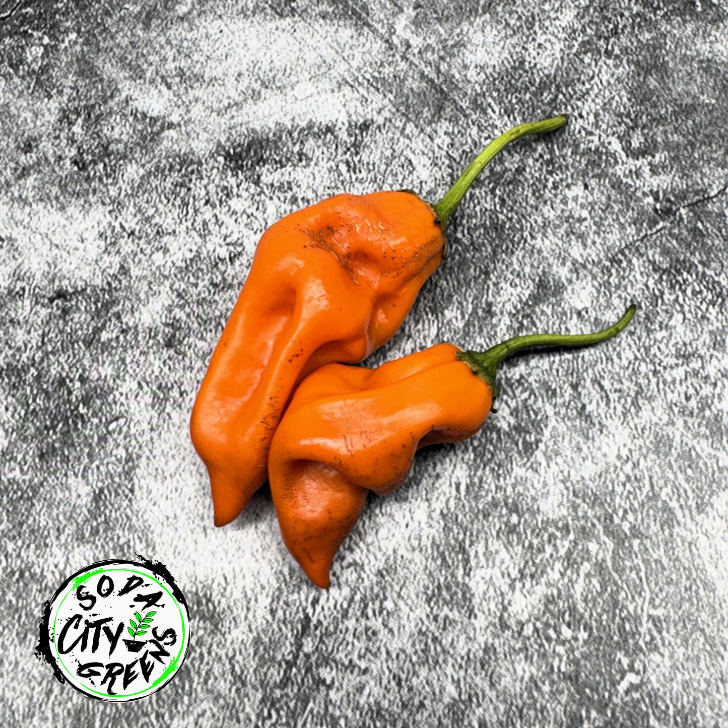 Aji Amarillo Peruvian Pepper Seeds