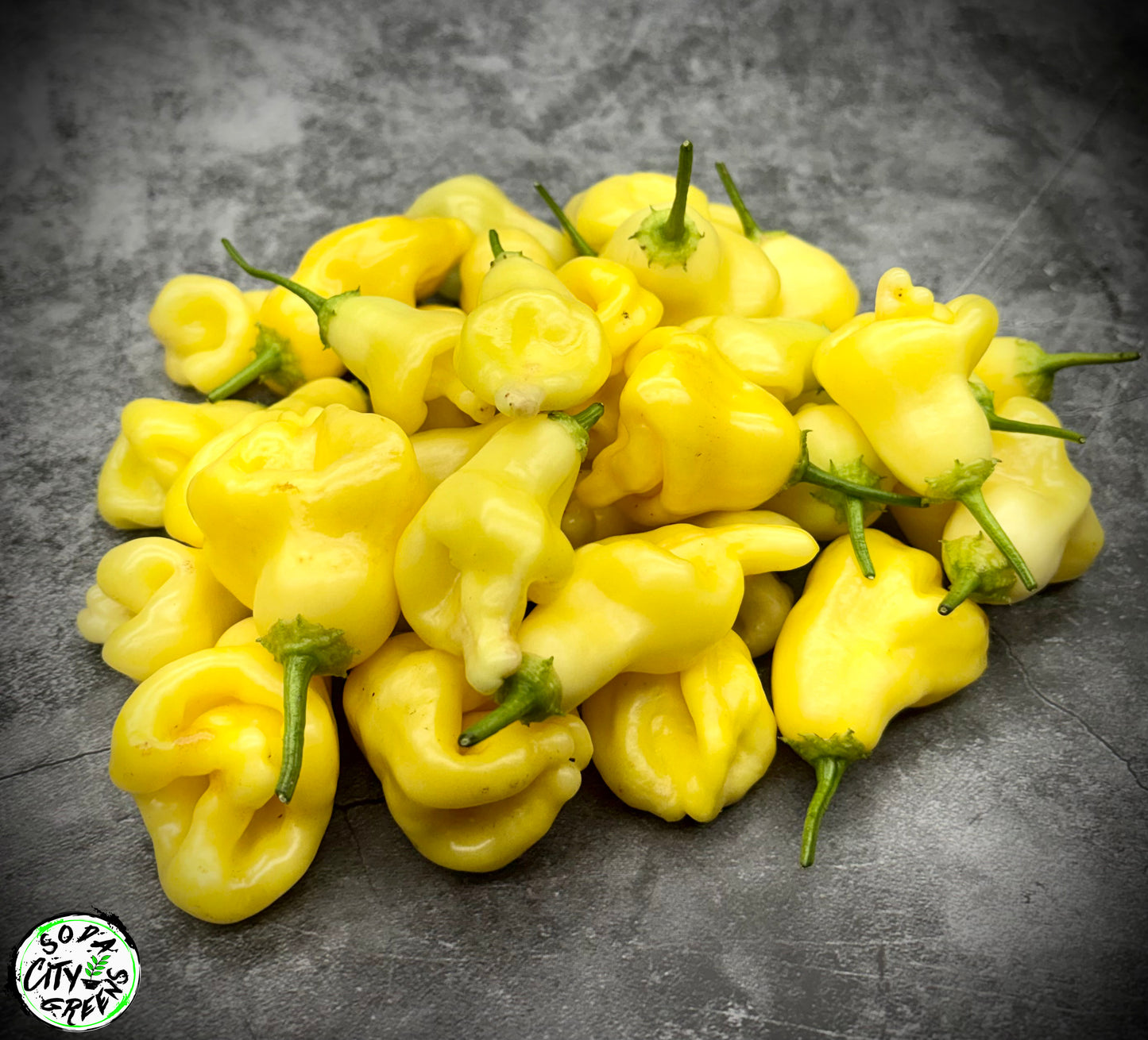 Aji Fantasy White Pepper Seeds