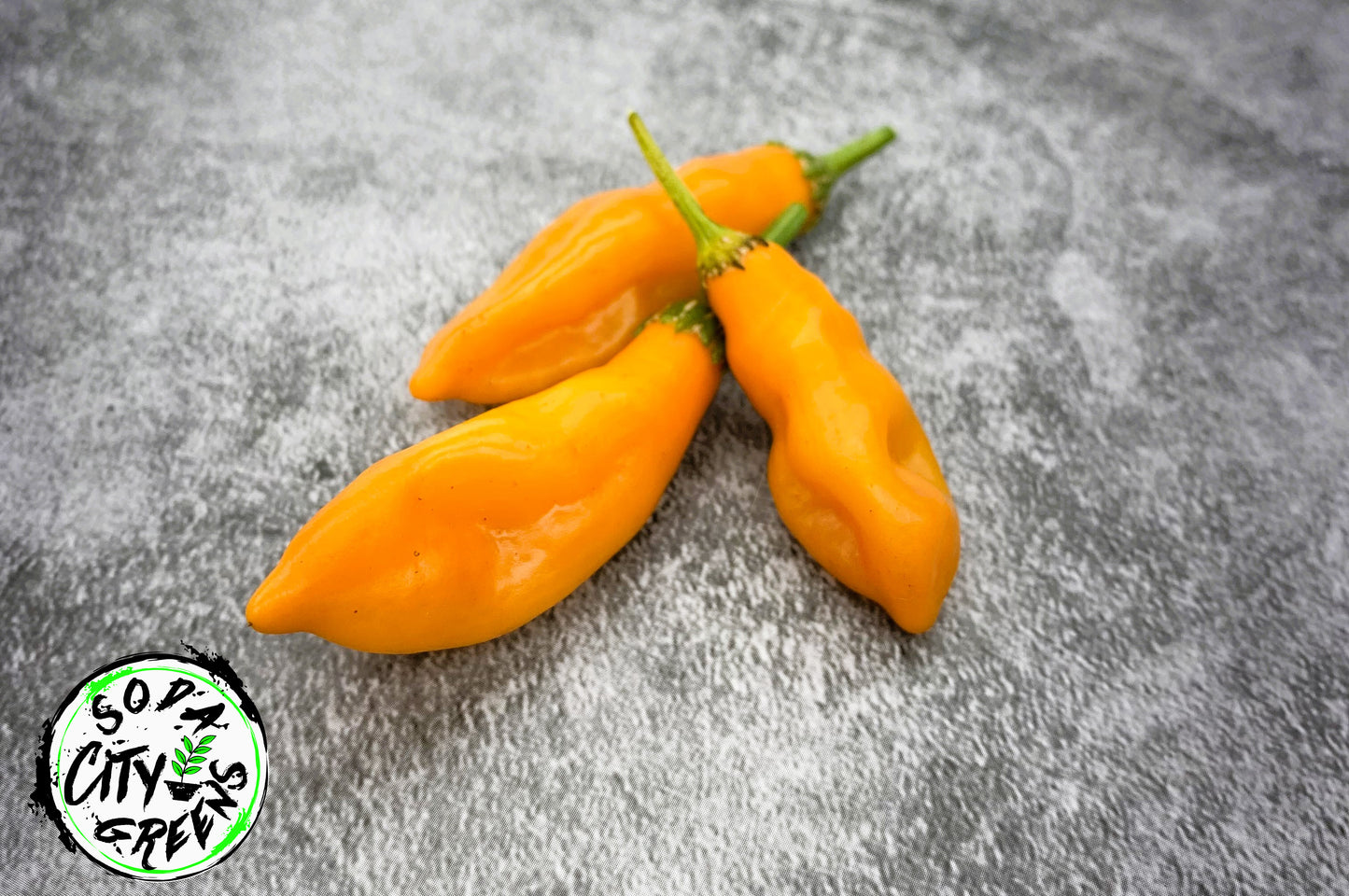 Sweet Heat Pepper Seed Variety Pack (You choose!)