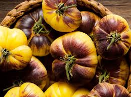 Alice's Dream Tomato Seeds