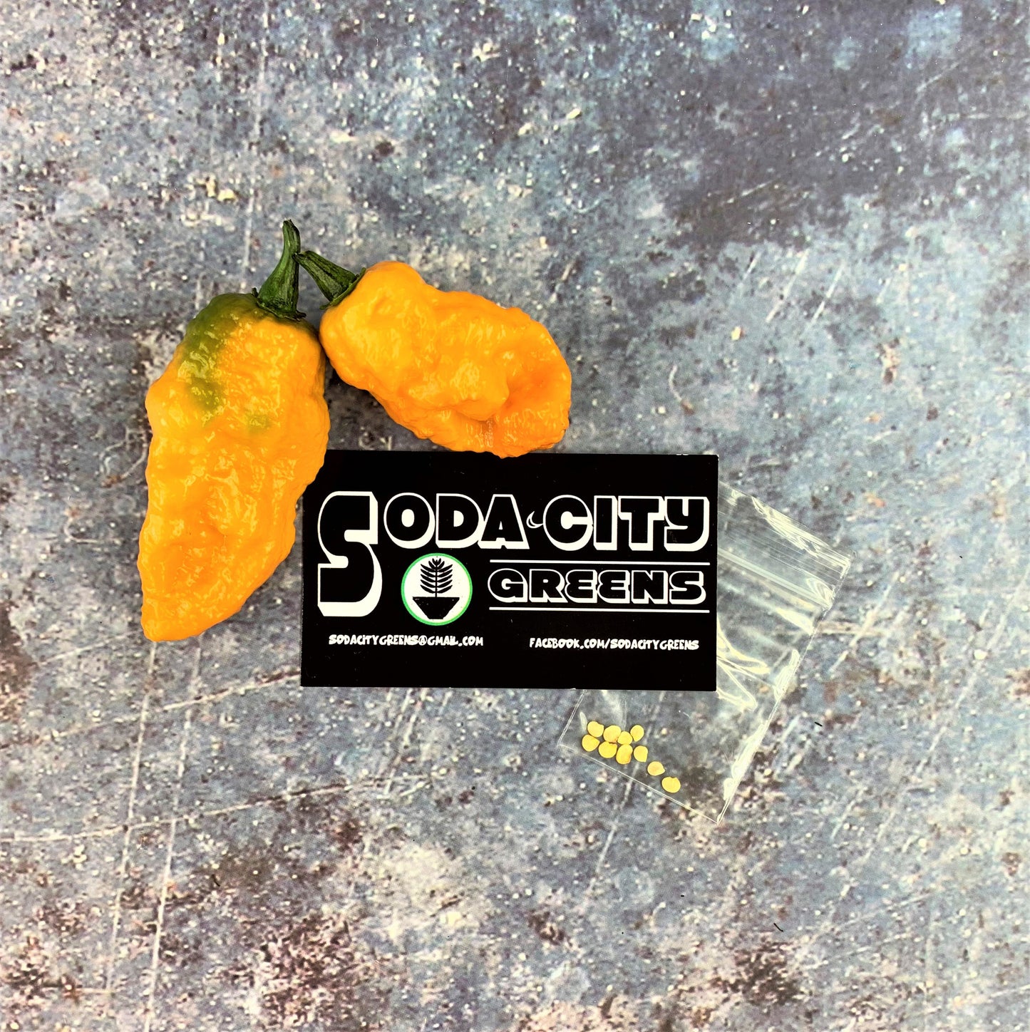 Andy's King BOC Pepper Seeds