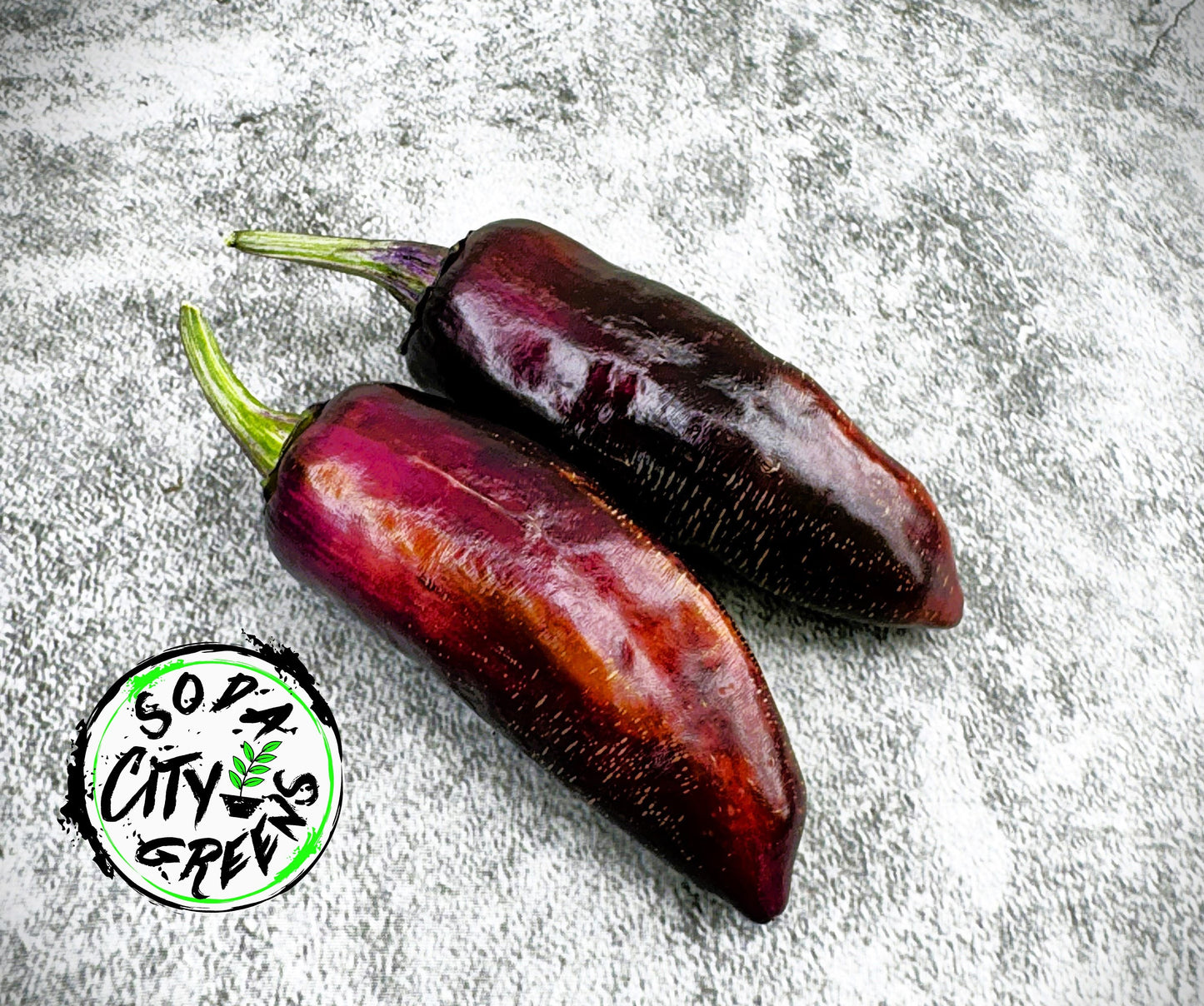 Bad Phish Variegated Pepper Seeds