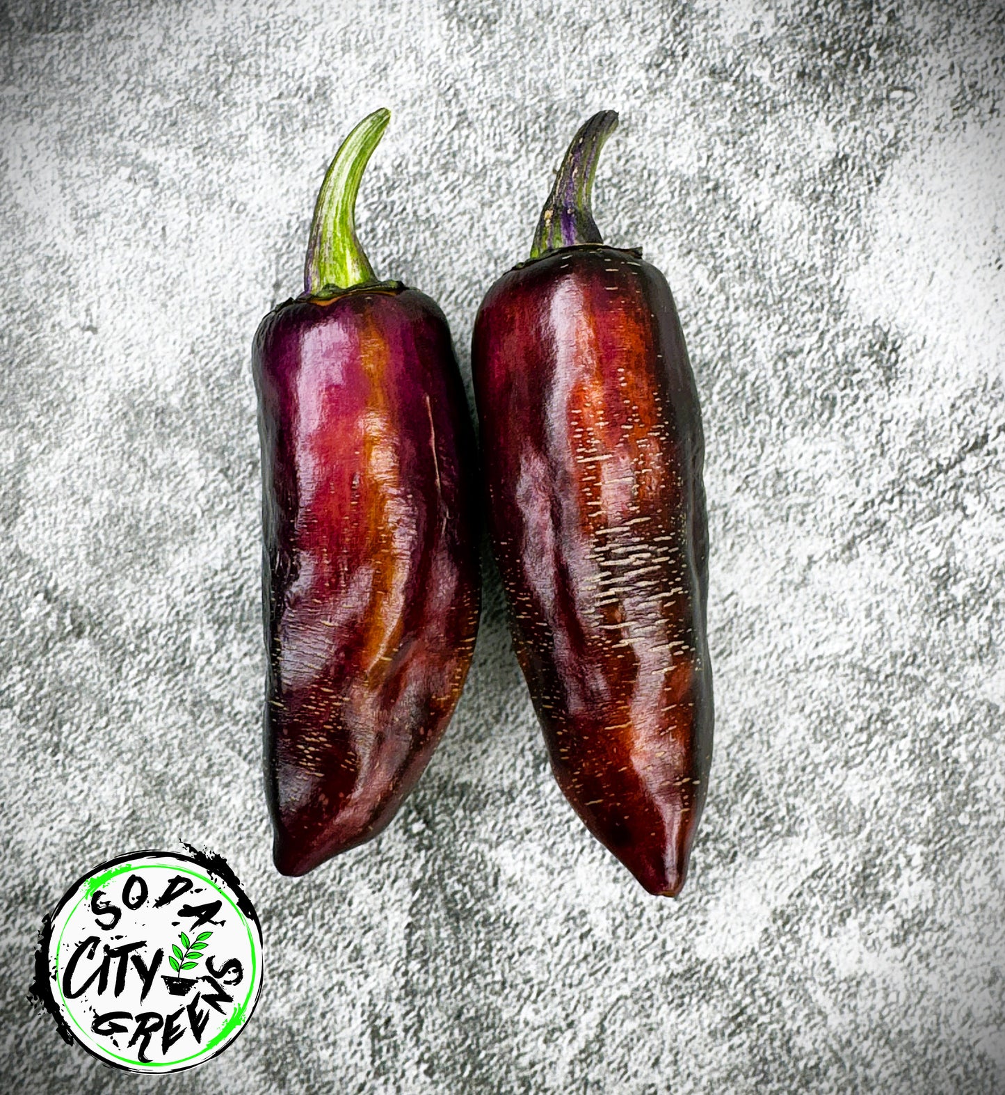 Bad Phish Variegated Pepper Seeds