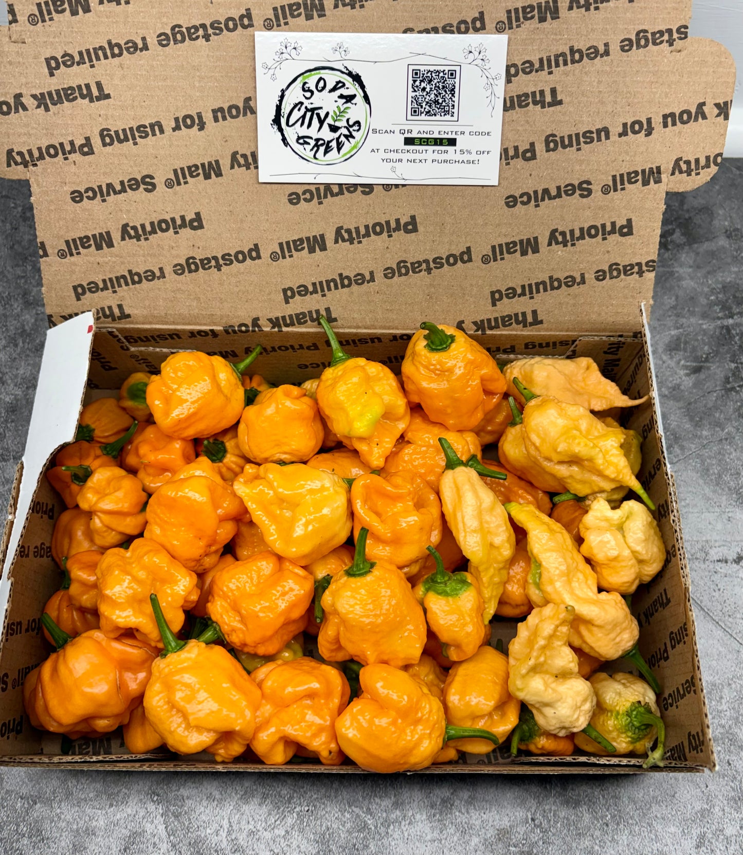 Fresh Pepper Boxes