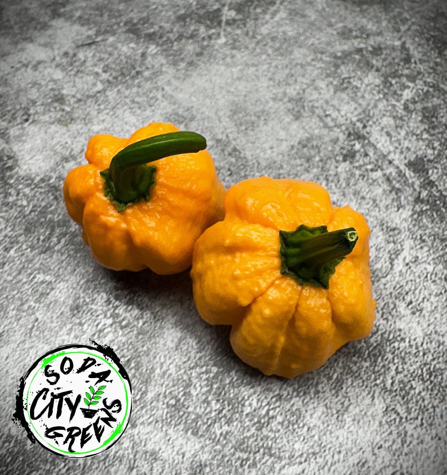 Bahamian Goat Pepper Seeds