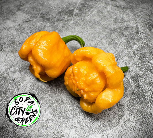 Bahamian Goat Pepper Seeds