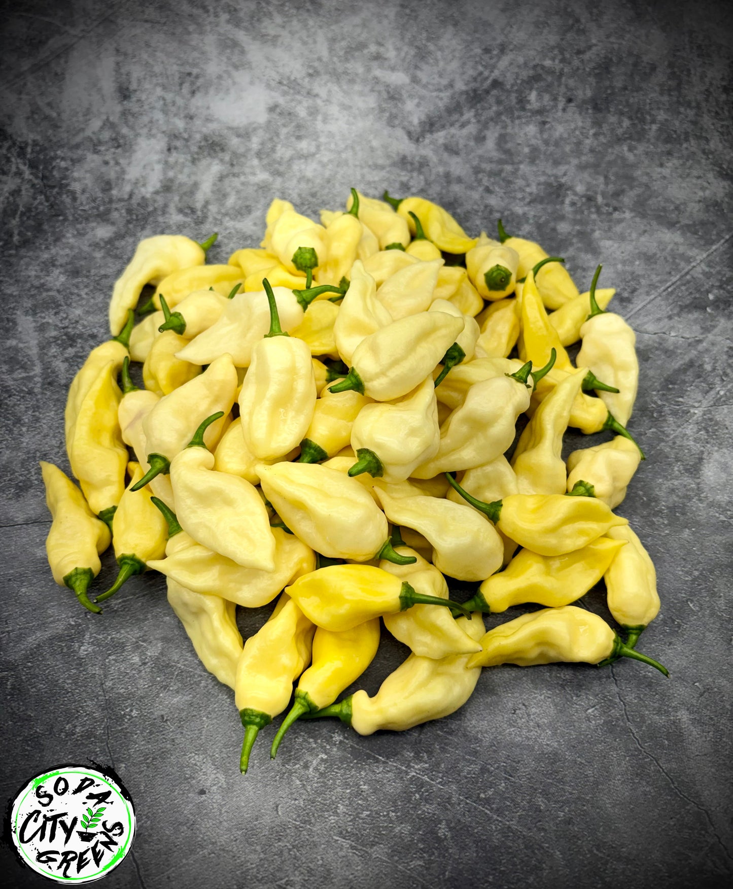 Bear Tooth White Pepper Seeds