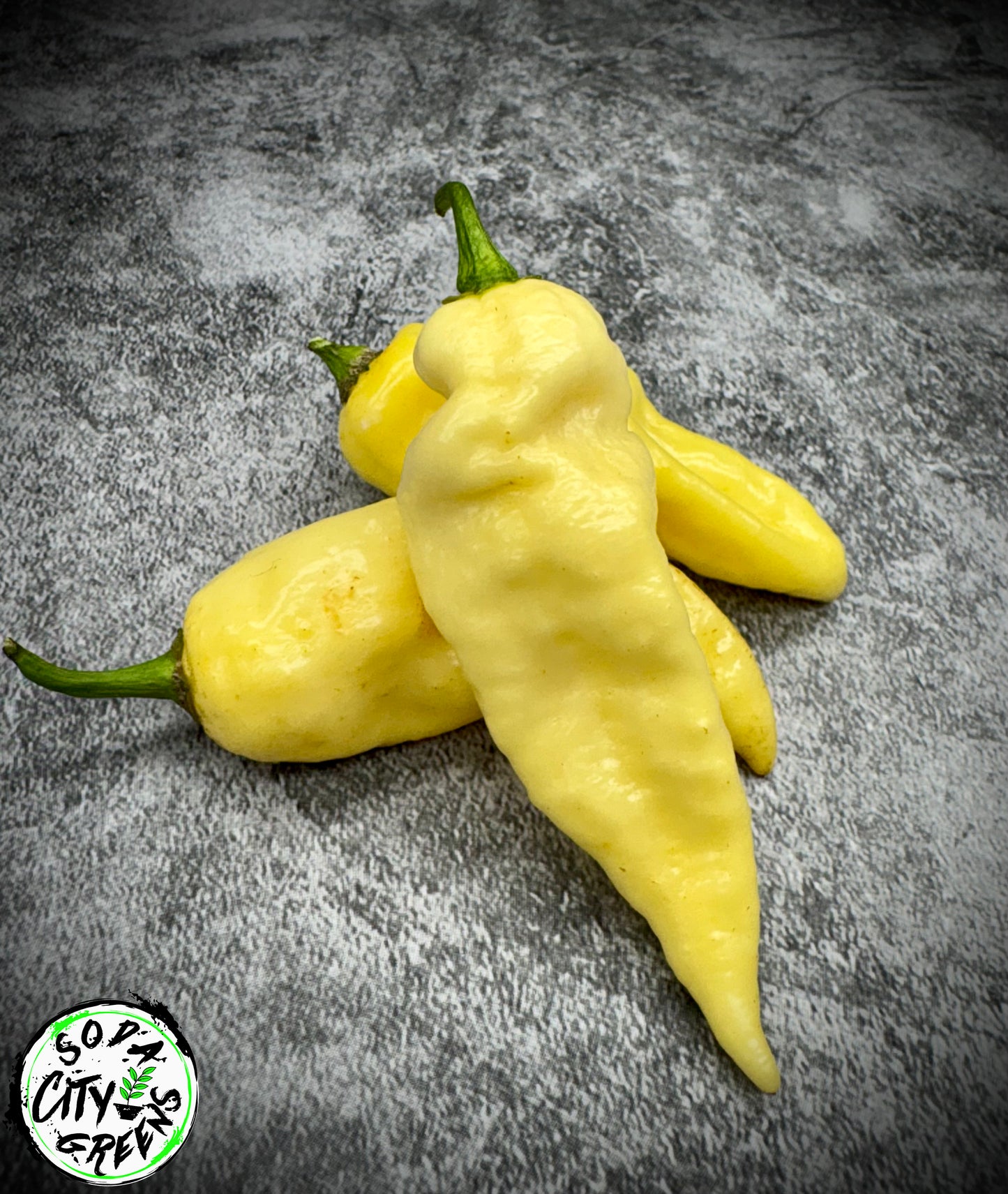 Bear Tooth White Pepper Seeds