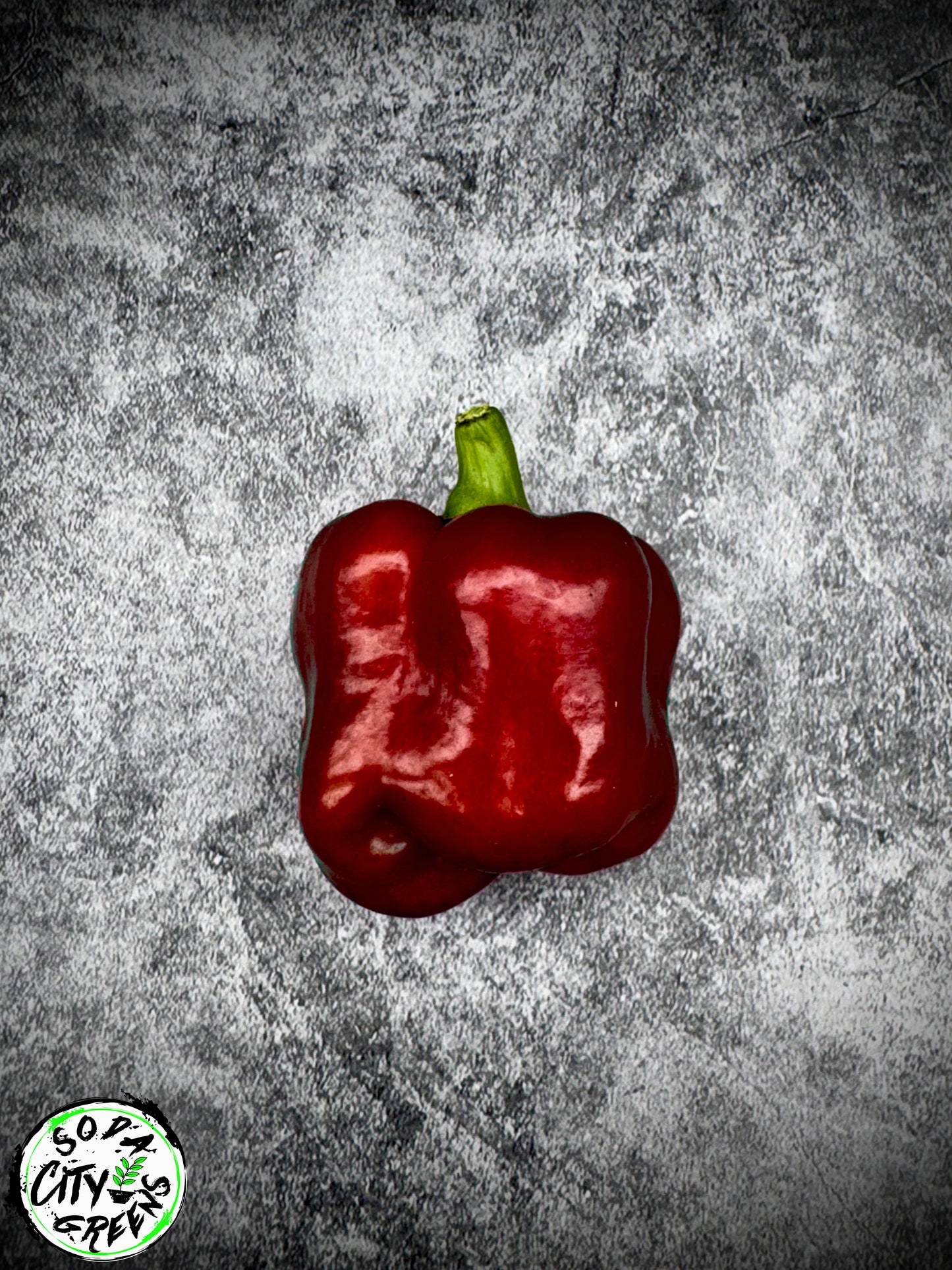 Blood Bell Pepper Seed- Sinister Pepper Series