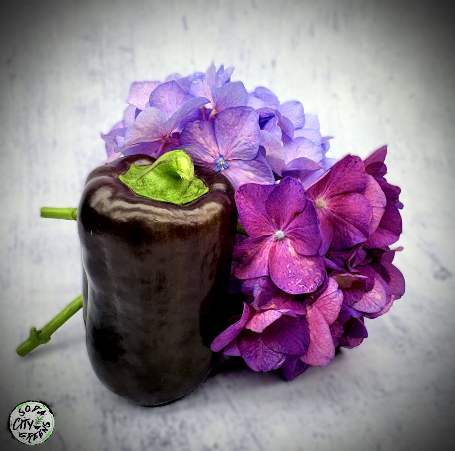 Purple Beauty Bell Pepper Seeds