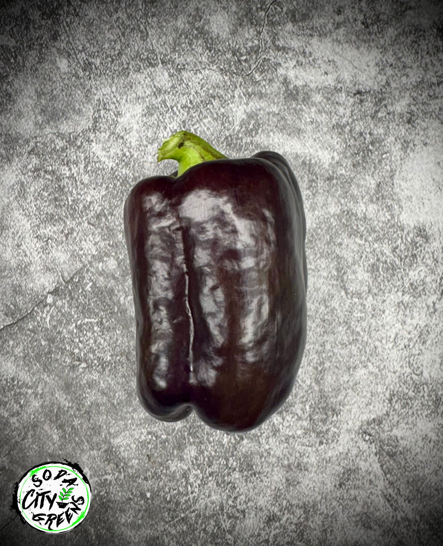 Purple Beauty Bell Pepper Seeds