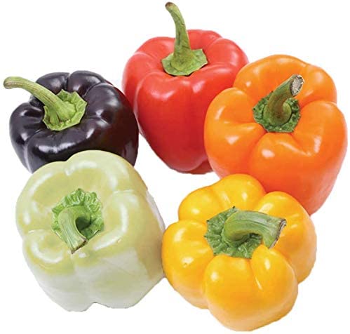 Rainbow Bell Pepper Seed Blend