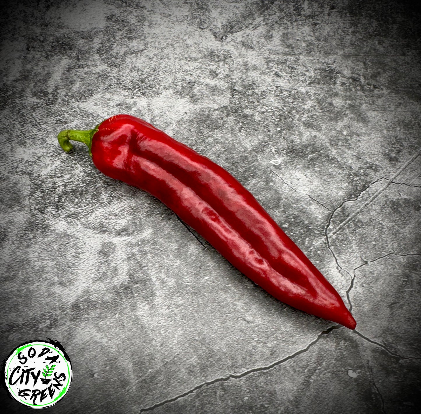 Big Jim NuMex Pepper Seeds