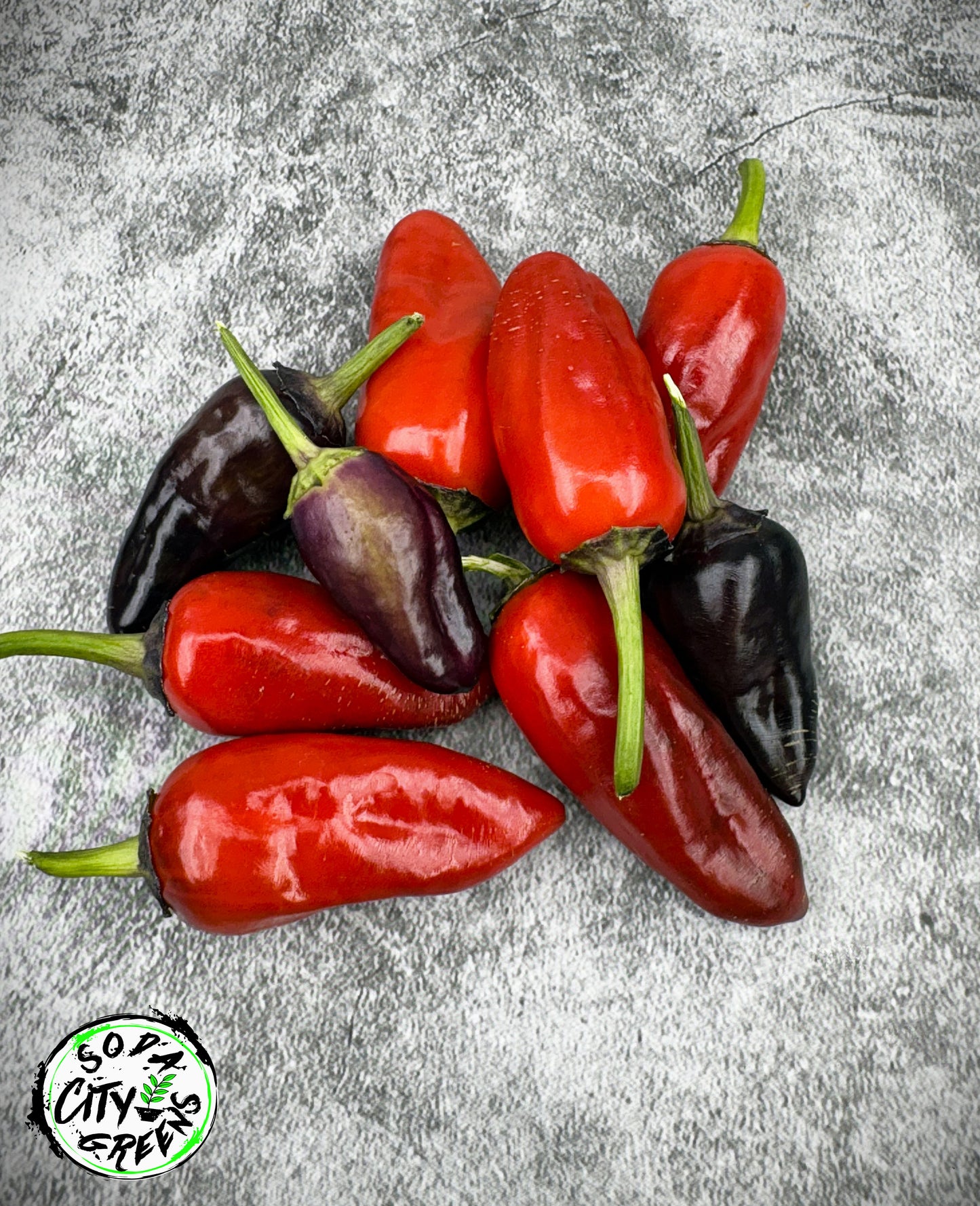 Black Hungarian Pepper Seeds
