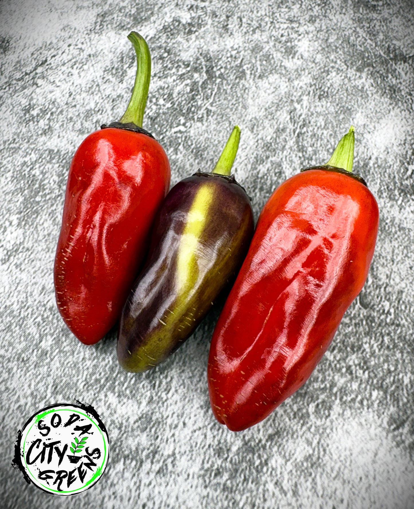 Sweet Heat Pepper Seed Variety Pack (You choose!)