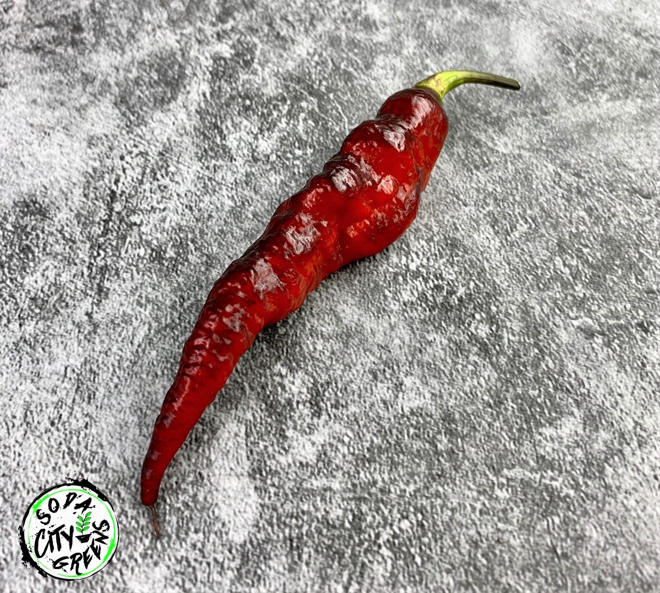 Blood Ghost Pepper Seeds