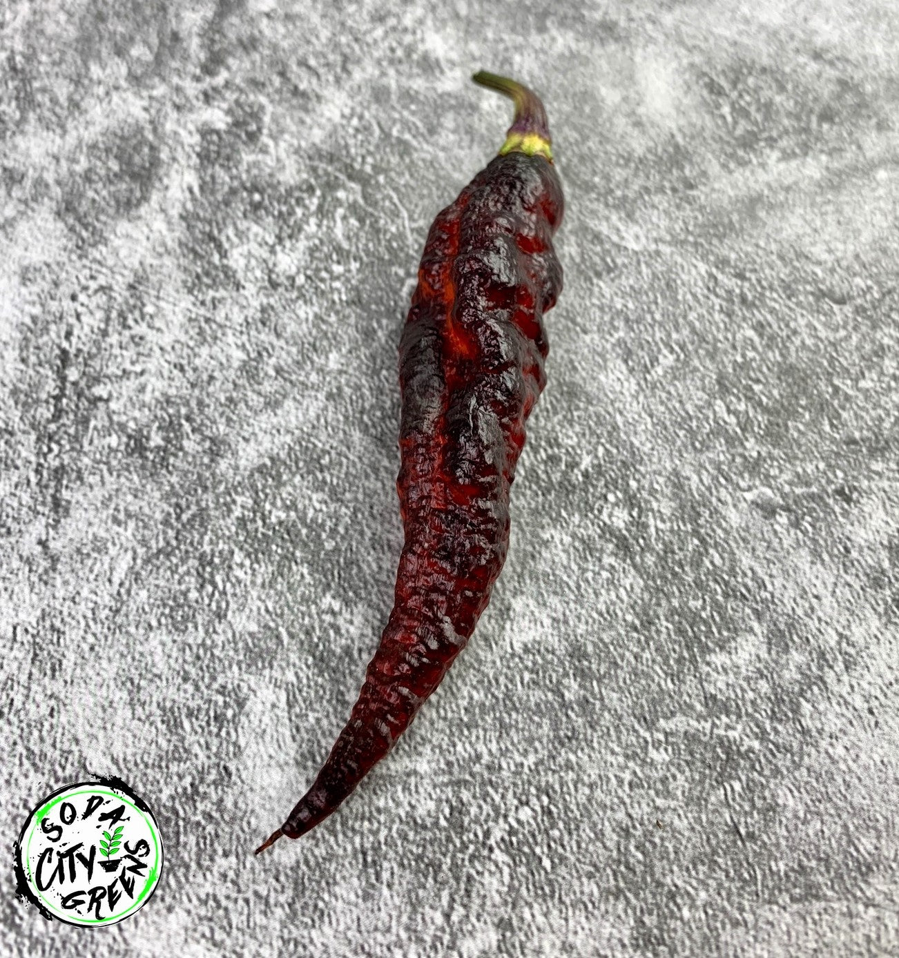Blood Ghost Pepper Seeds