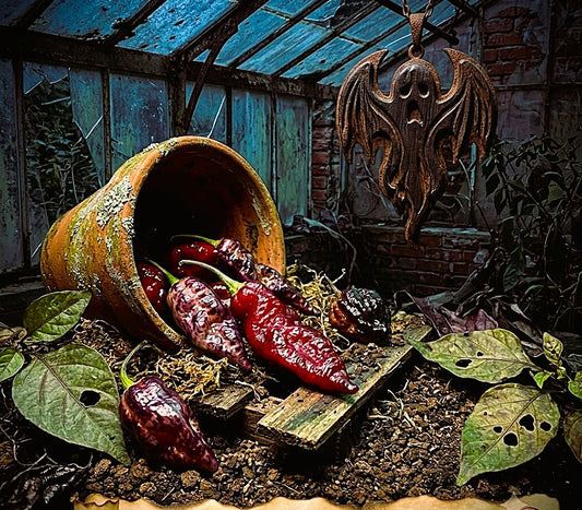 Blood Ghost Pepper Seeds