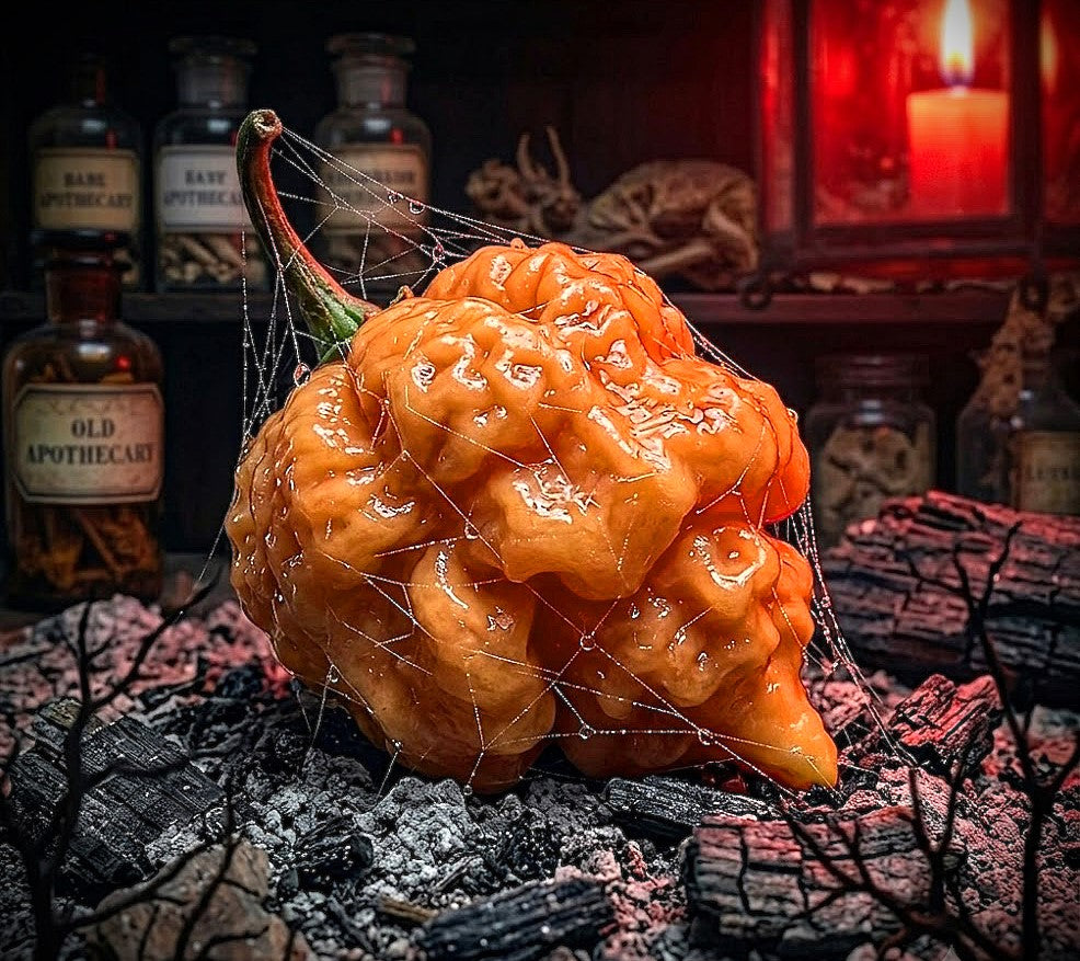Naglah Beast Caramel Pepper Seeds- Sinister Pepper Series