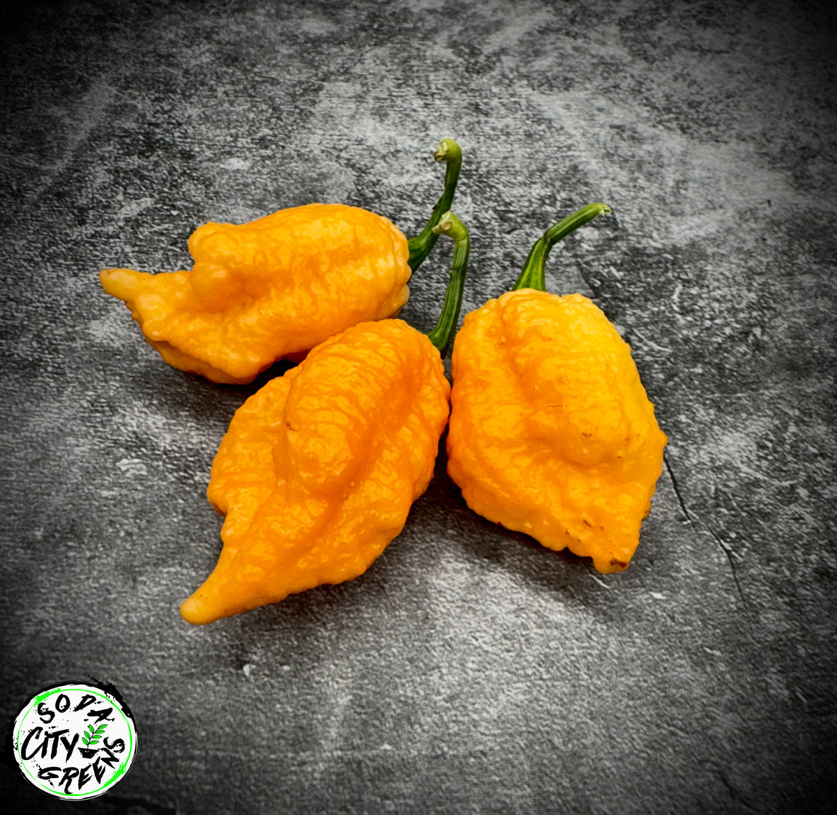 Brain Collapse Peach Pepper Seeds- Sinister Pepper Series