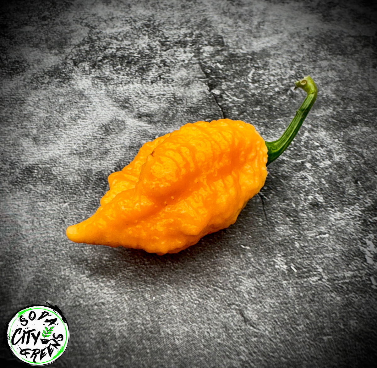 Brain Collapse Peach Pepper Seeds- Sinister Pepper Series