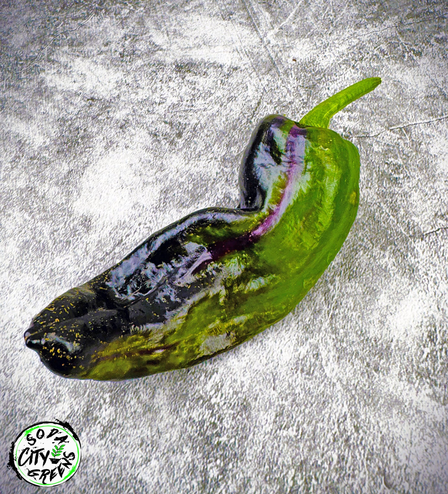Sweet Heat Pepper Seed Variety Pack (You choose!)