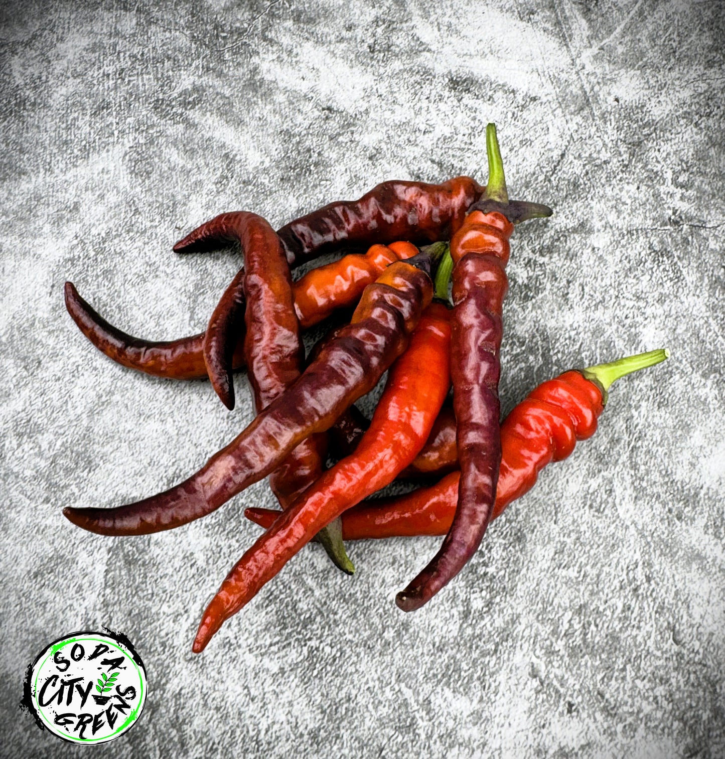 Buena Mulata (Purple Cayenne) Pepper Seeds