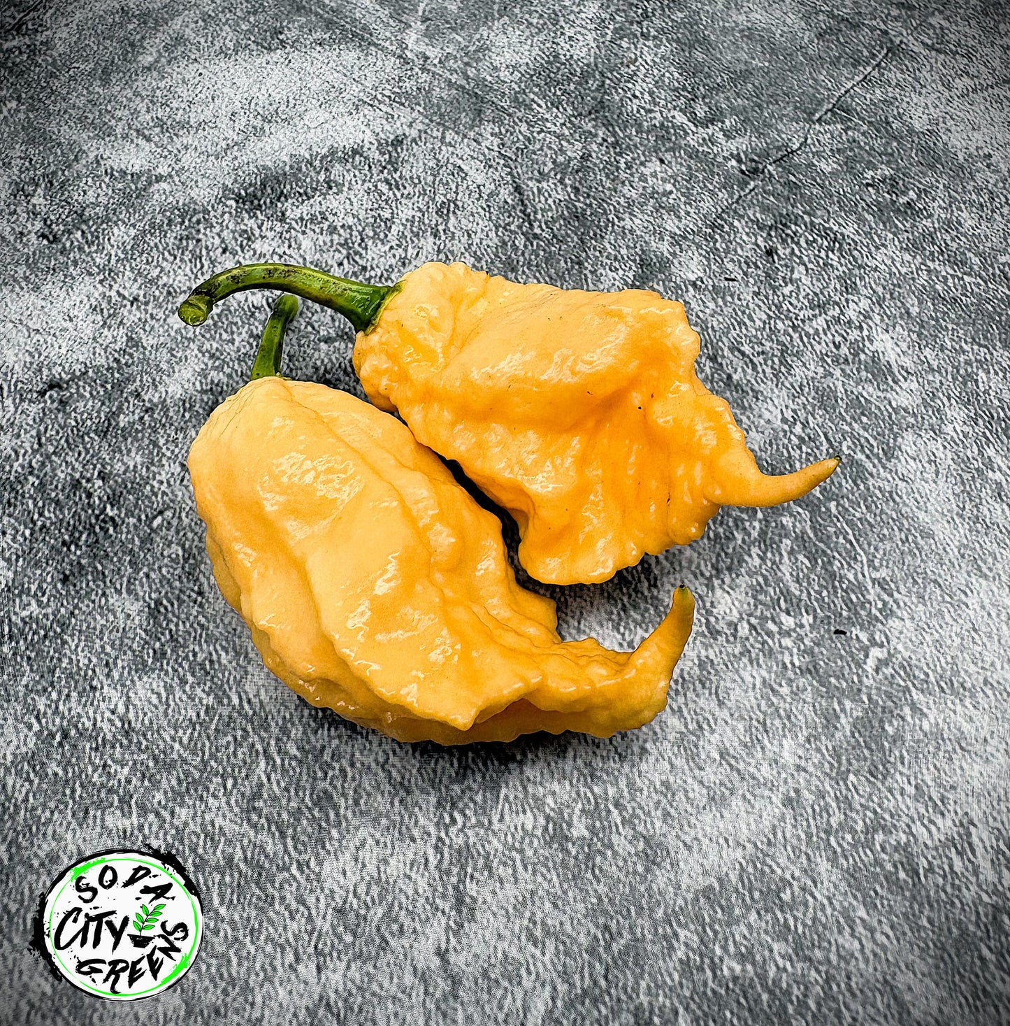 California Reaper Pepper Seeds