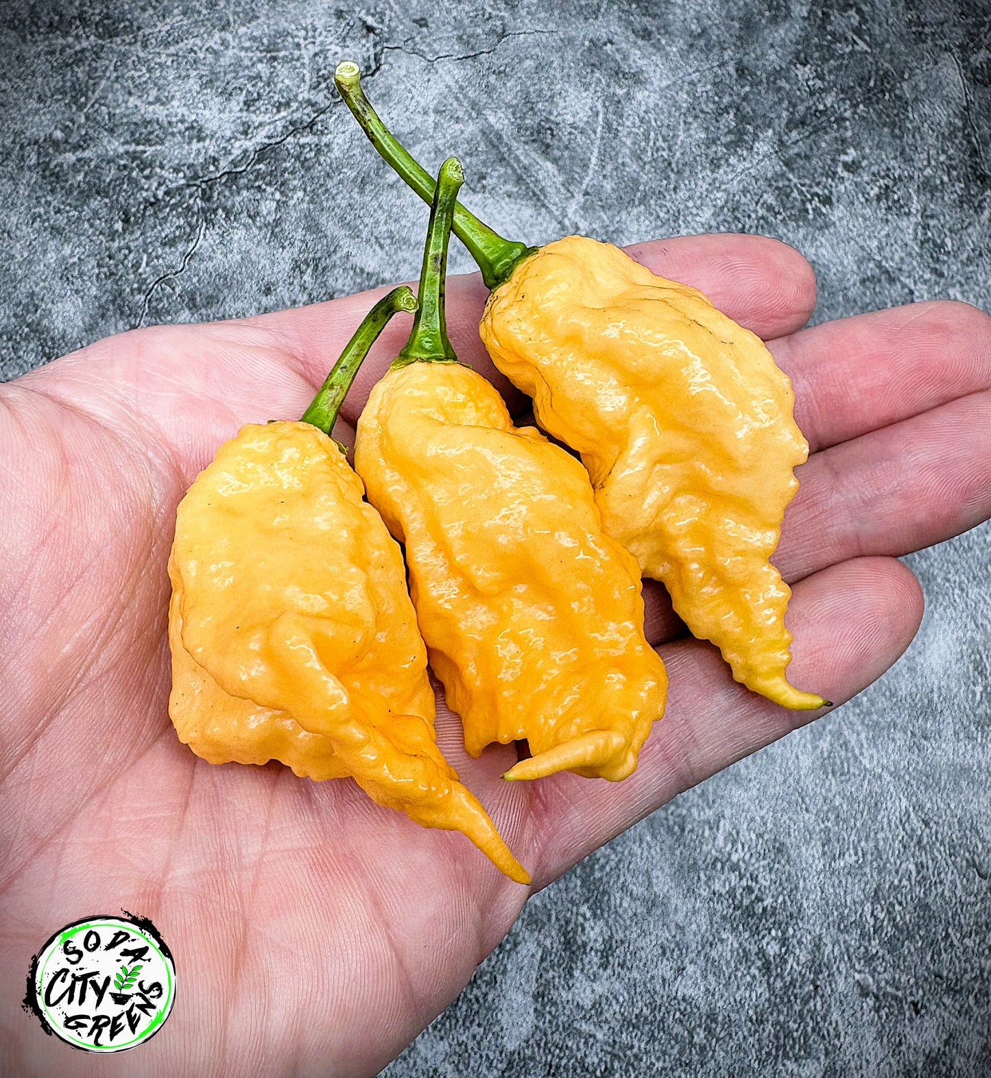 California Reaper Pepper Seeds