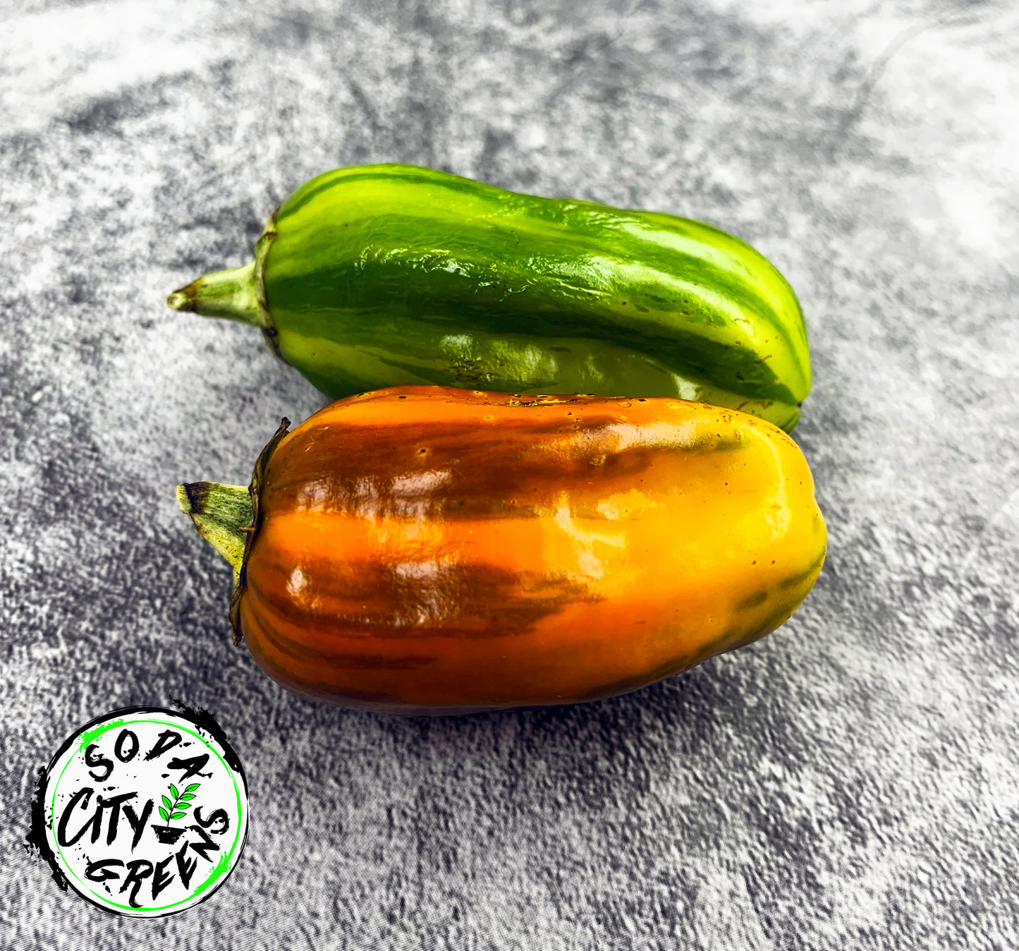 Candy Cane Variegated Pepper Seeds