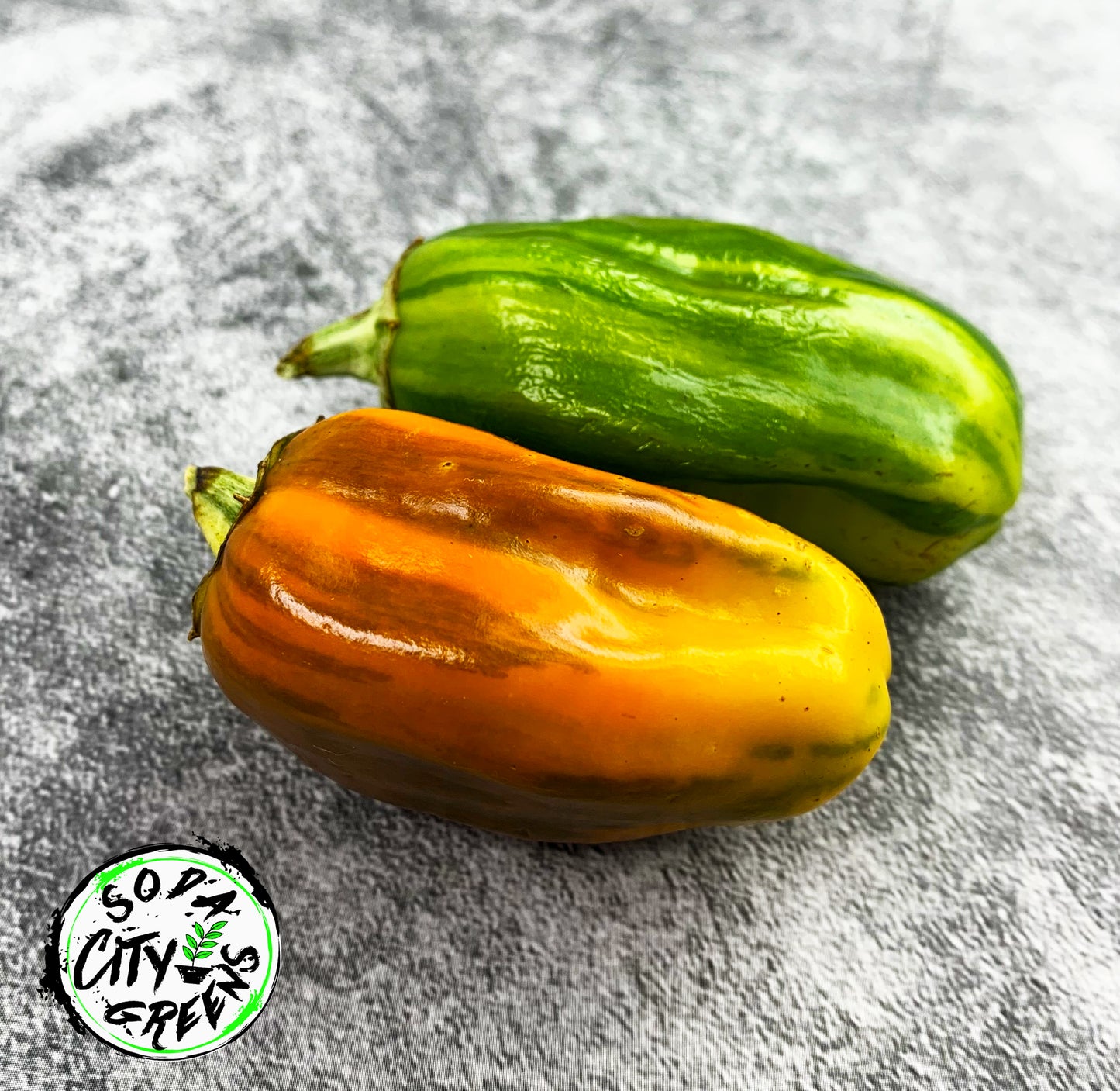 Candy Cane Variegated Pepper Seeds