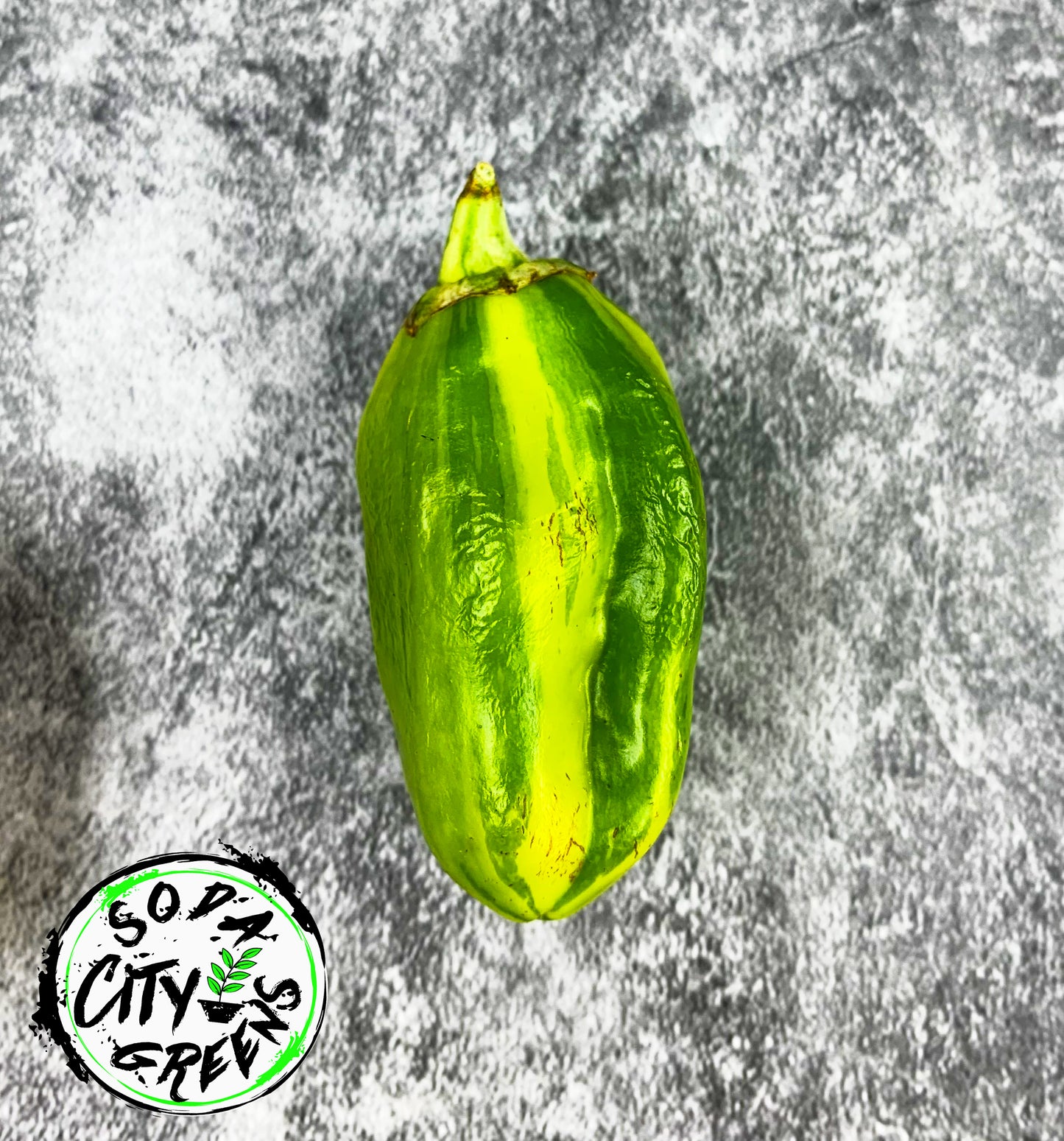 Candy Cane Variegated Pepper Seeds