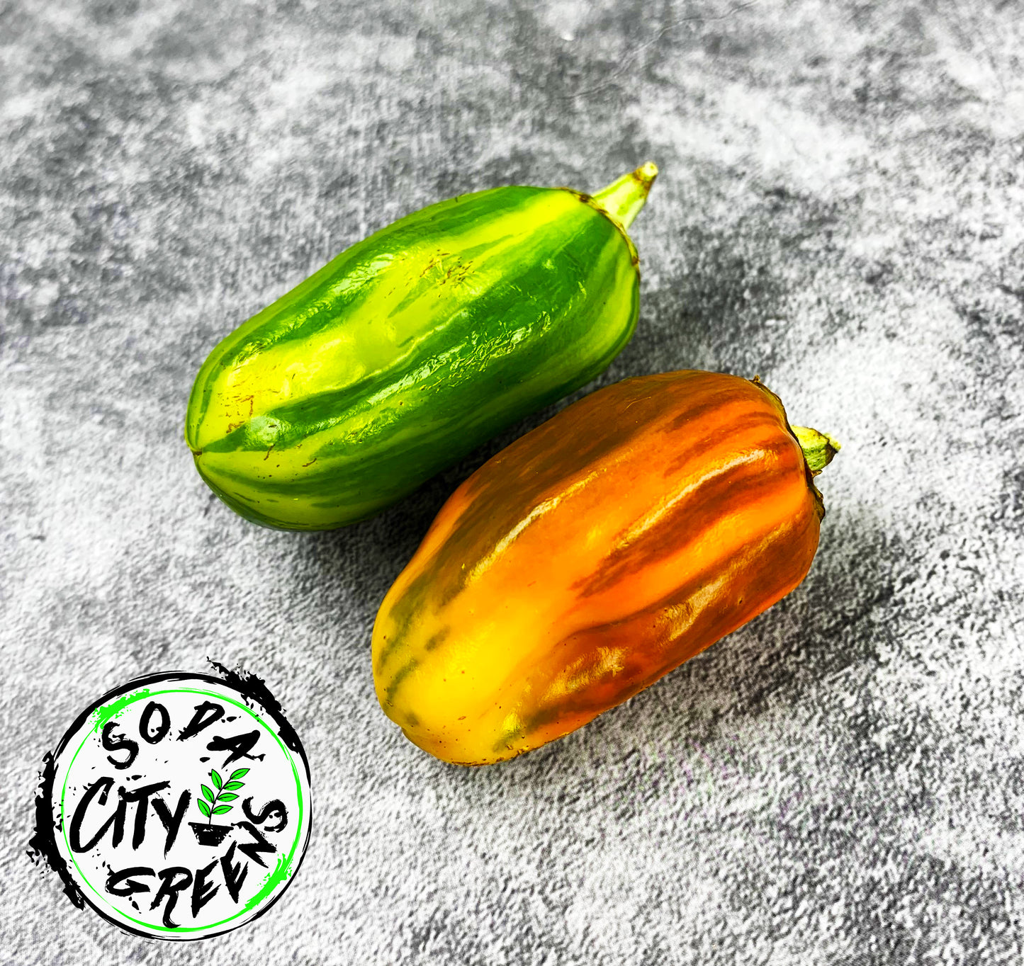 Candy Cane Variegated Pepper Seeds