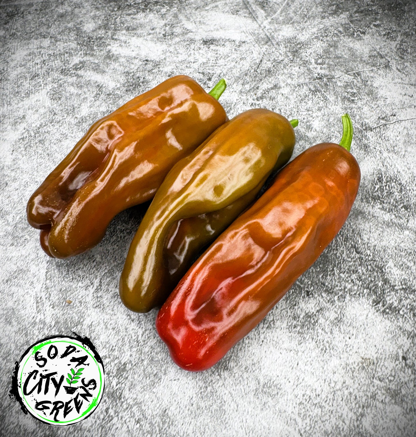 Sweet Heat Pepper Seed Variety Pack (You choose!)