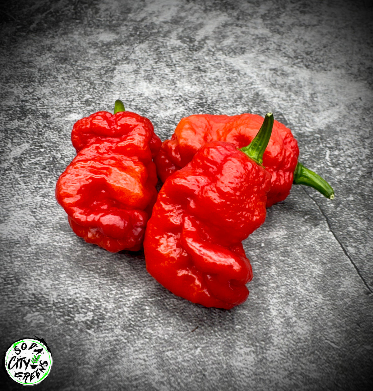 Daybreaker Pink Reaper Pepper Seeds