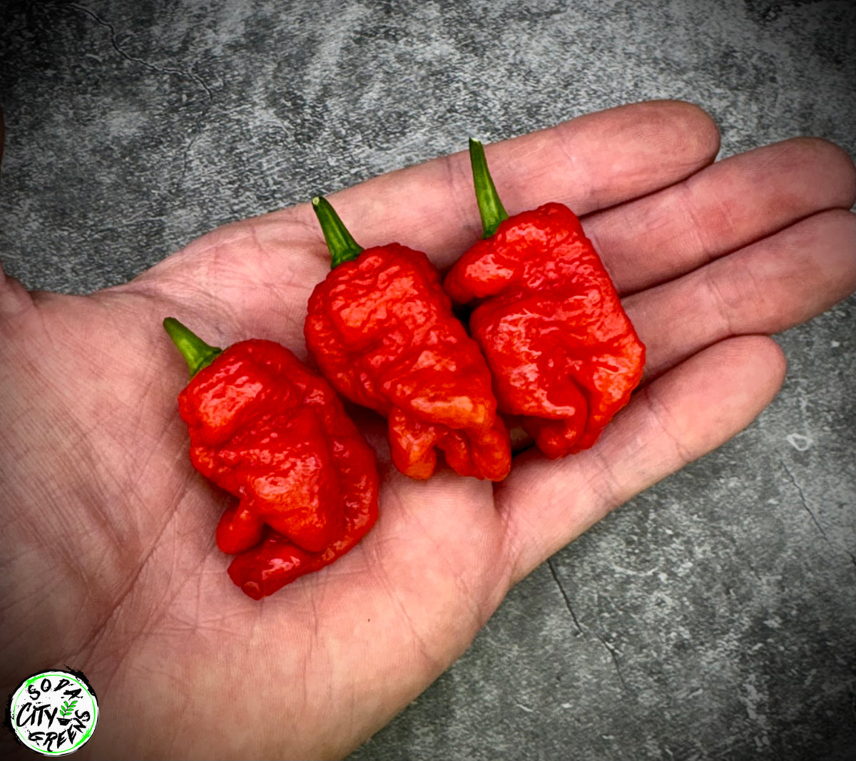 Daybreaker Pink Reaper Pepper Seeds