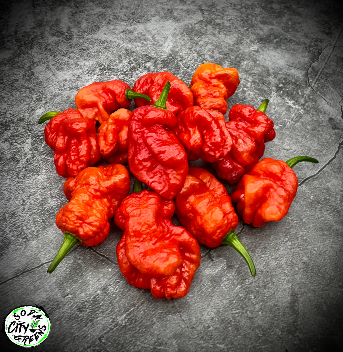 Daybreaker Pink Reaper Pepper Seeds