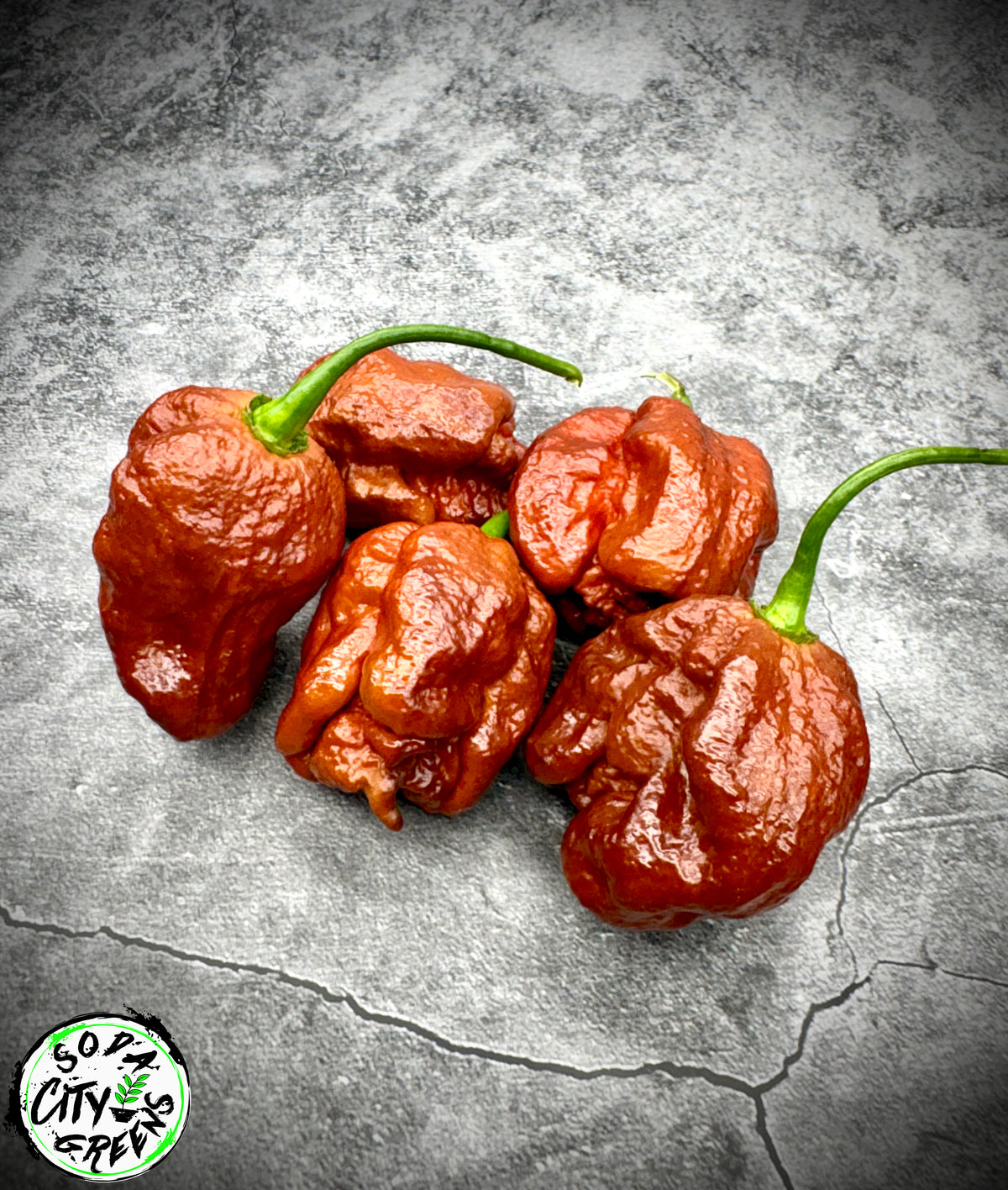 Caramel Moruga Scorpion Pepper Seeds