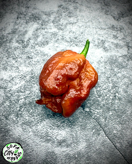 Caramel Carolina Reaper Pepper Seeds