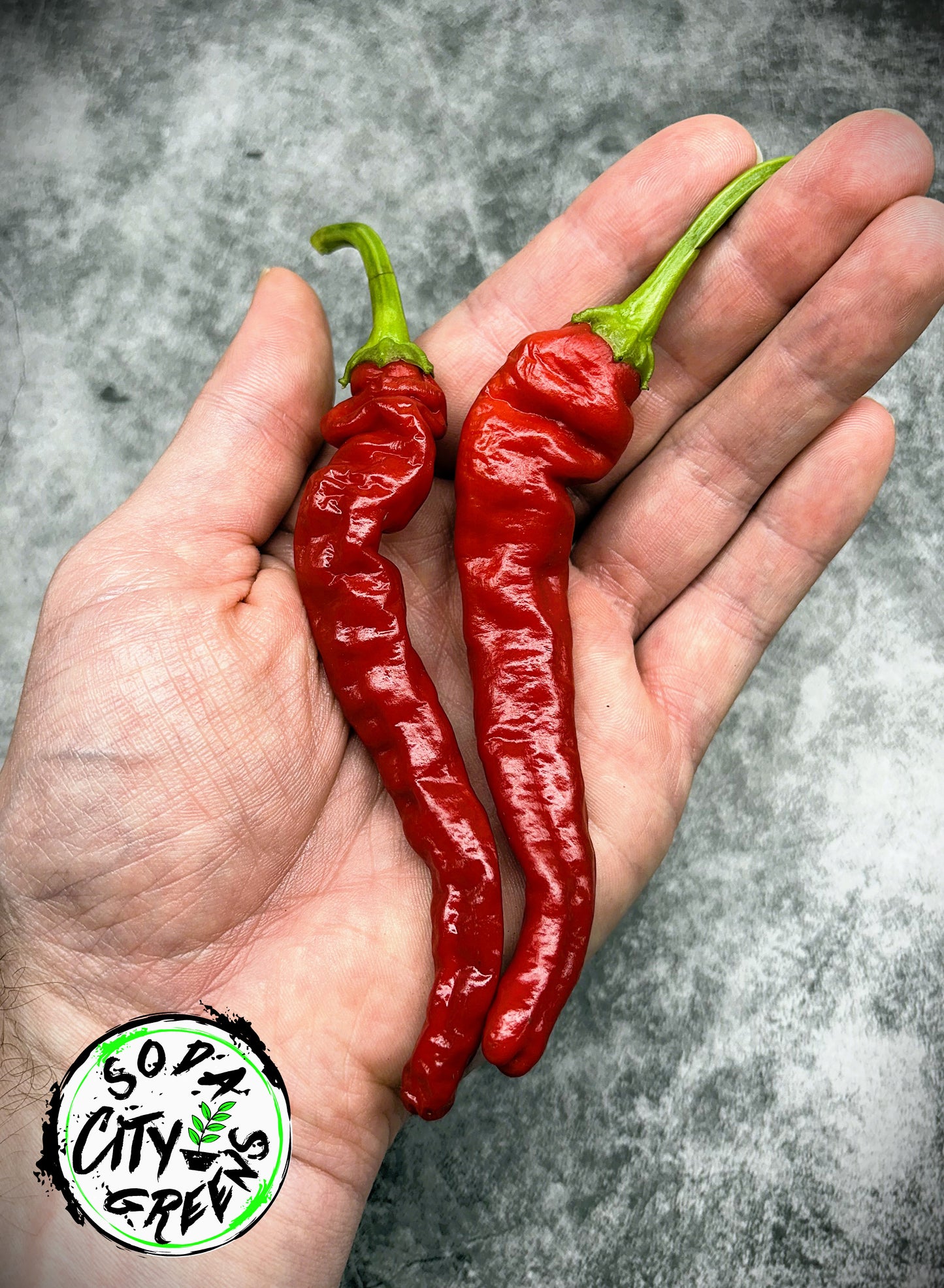 Long Slim Cayenne Pepper Seeds
