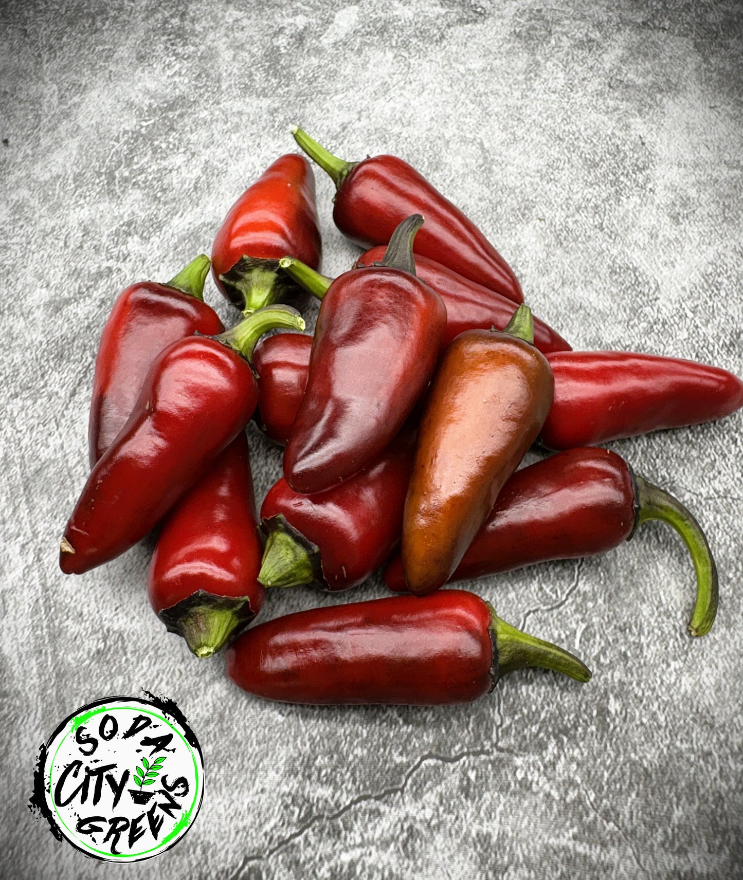 Count Dracula x Orange Fish Variegated Pepper Seeds