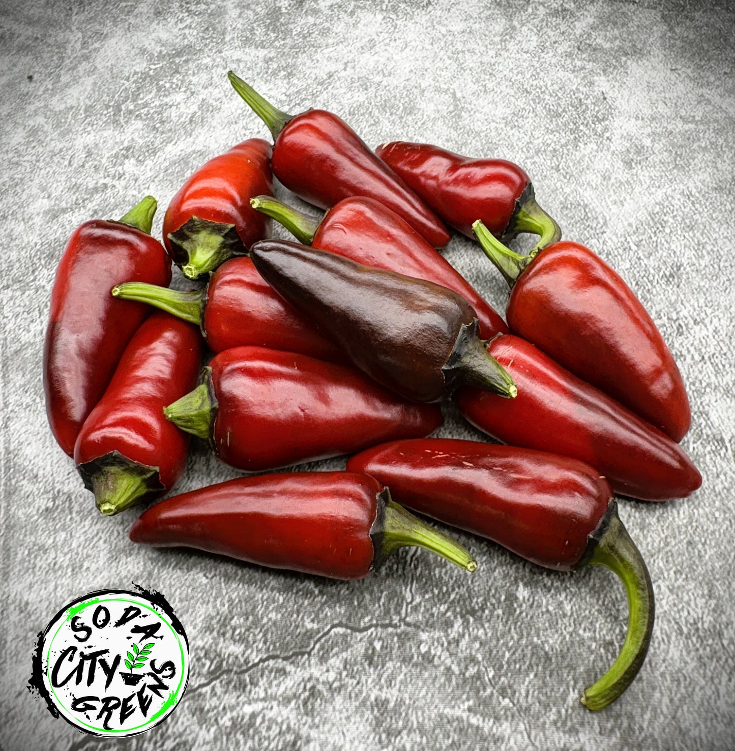 Sweet Heat Pepper Seed Variety Pack (You choose!)
