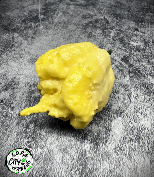 Creamo Pepper Seeds