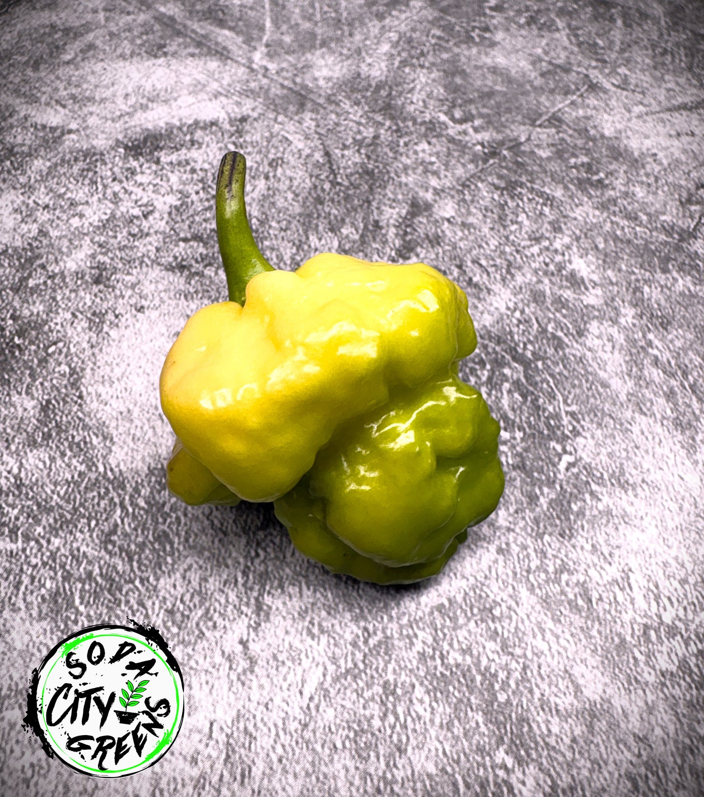 Da Hulk White Pepper Seeds