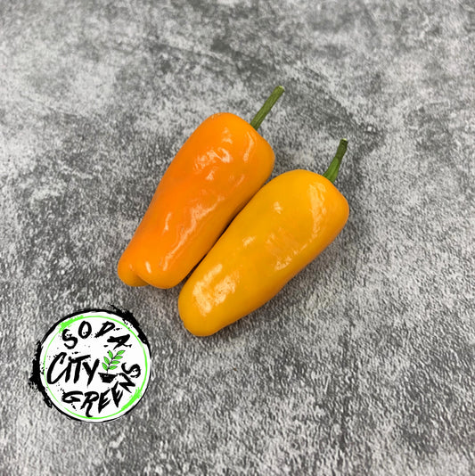 Datil Pepper Seeds